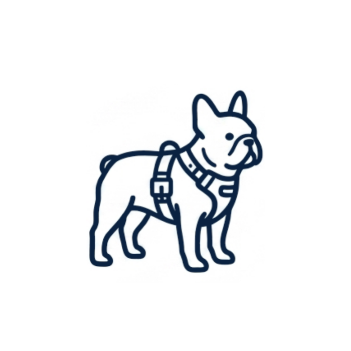 Minimalist line art icon of a French Bulldog wearing a safety harness, representing the specialized walking gear category.